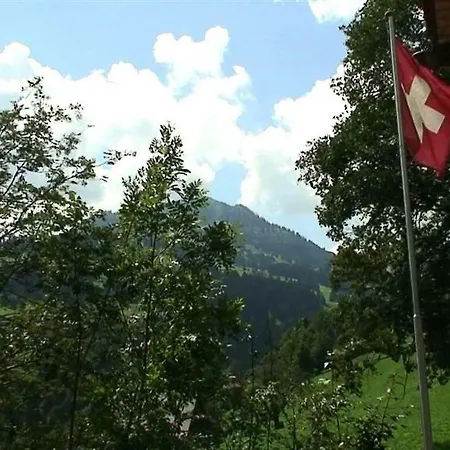 Apartment Schnaeggedanz- Chalet *