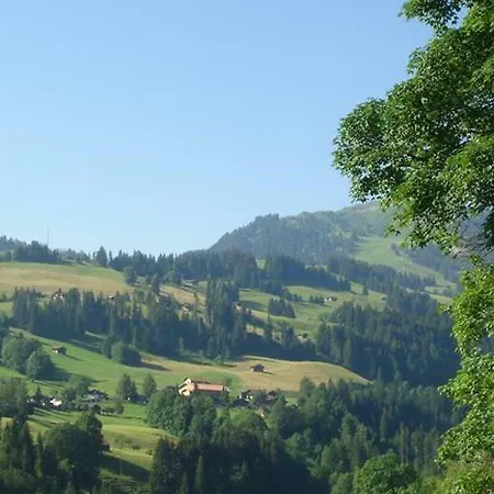 Appartement Schnaggedanz- Chalet *