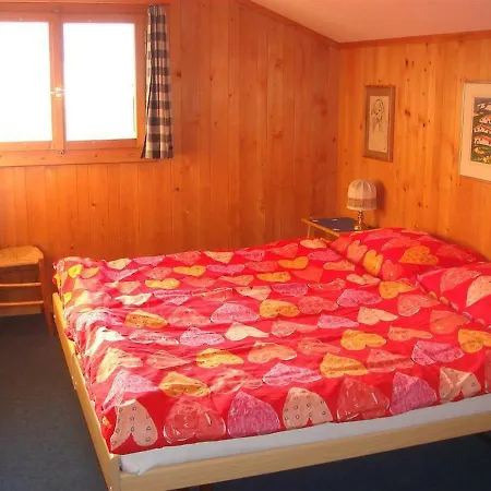 Apartment Schnaeggedanz- Chalet Apartment